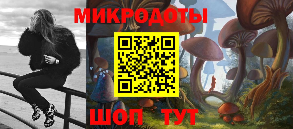 Псилоцибиновые грибы Psilocybine cubensis Грозный