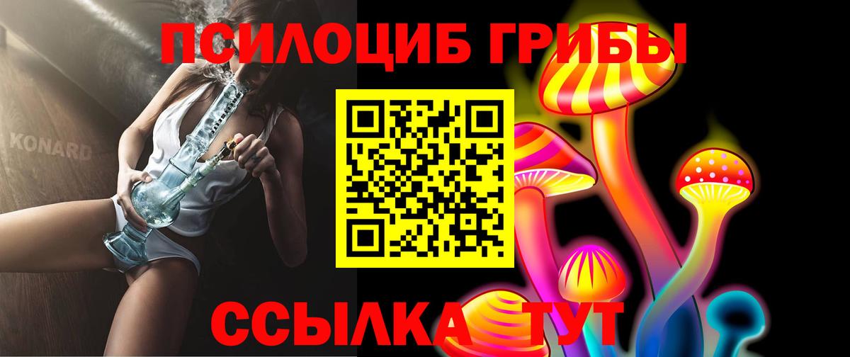 Грозный  Псилоцибиновые грибы MAGIC MUSHROOMS  Вход с VPN 